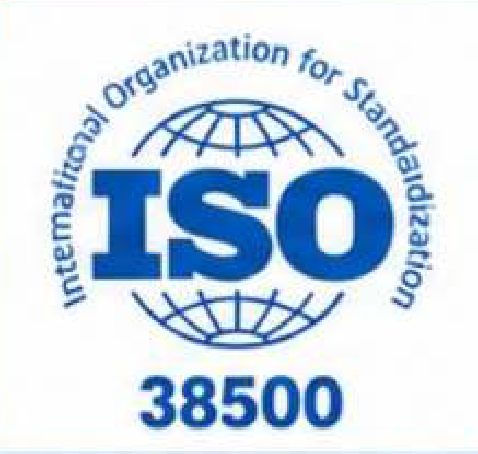ISO/IEC 38500, IT governance