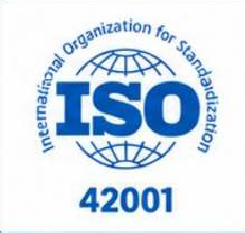 ISO/IEC 42001, AI management systems